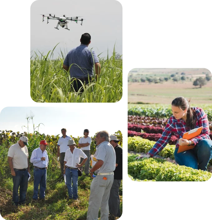 Profesionales de la agronomía trabajando en el territorio